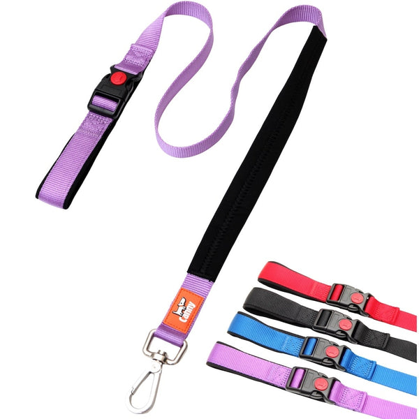 Purple 25mm wide Canny Connect anti escape lead for medium to large dogs, padded black grip and secure steel clip, shown with colour options: red, blue, purple, black.
