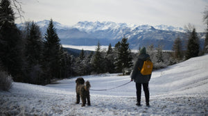 Woman walking dog through snowy mountain landscape in winter