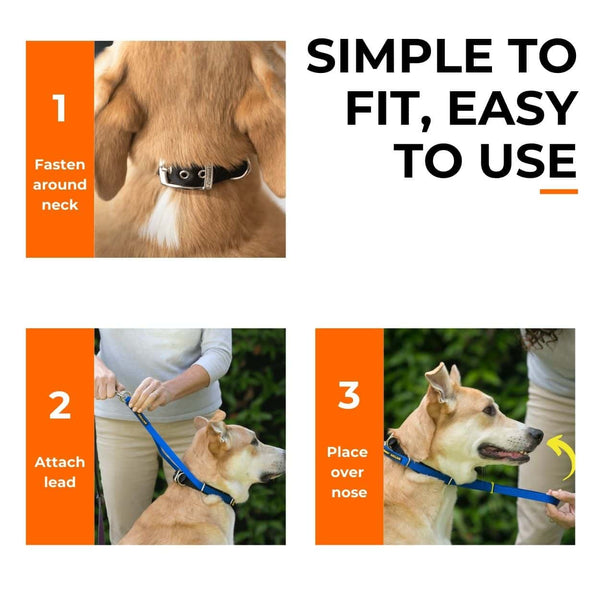 Hoe u een Canny Collar aanpast in 3 stappen