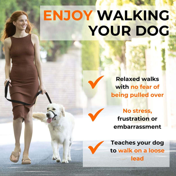 Vrouw wandelende hond op een Canny Collar met voordelen