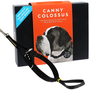 Black Canny Colossus head collar for large breed dogs in retail packaging with the wording 'The best collar to help train your dog not to pull'.