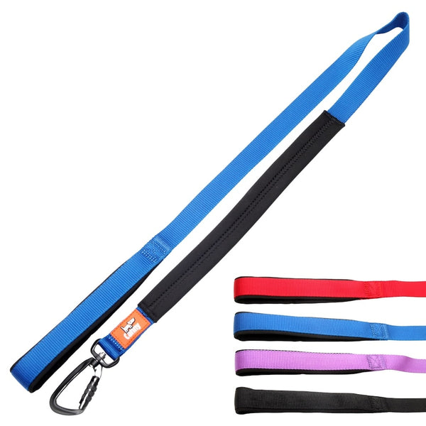 Blue 120cm Canny no pull lead for medium-large dogs with soft grip and locking carabiner, shown with four colour choices.