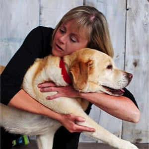 Canny Halsband, anti-trek trainingshulp voor honden, leert niet aan de lijn te trekken, zacht, comfortabel en veilig, eenvoudig te bedienen, maat 1, zwart Canny Halsband, anti-trek trainingshulp voor honden, leert niet aan de lijn te trekken, zacht, comfortabel en veilig, eenvoudig te bedienen, maat 1, zwart